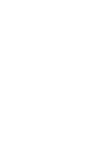 おすすめはホルモン